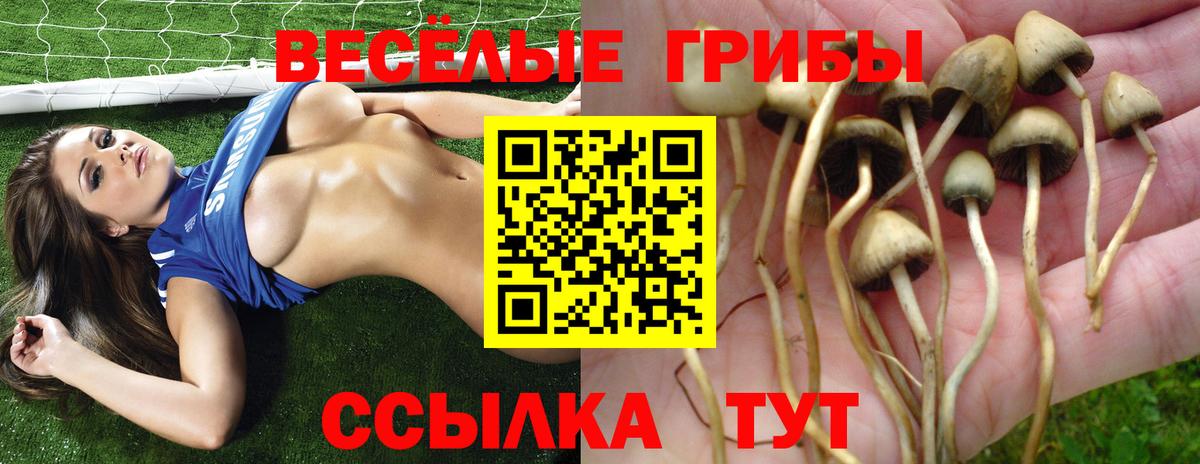 Галлюциногенные грибы мицелий  Вход с VPN  Белогорск 